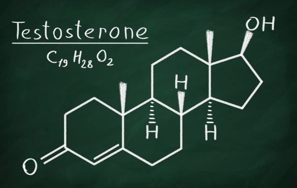 Gagner En Masse Musculaire Avec La Testostérone Les Points Clés à Retenir Blog Eric Favre 6565